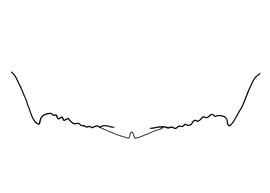   Anthidium cochimi  female, diagram showing the dorsal view of the sixth tergite (T6), diagram by Victor Gonzalez (Gonzalez and Griswold 2013) 

